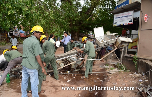 peepal tree karangalpady